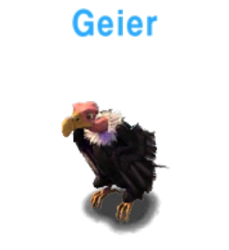 Geier             